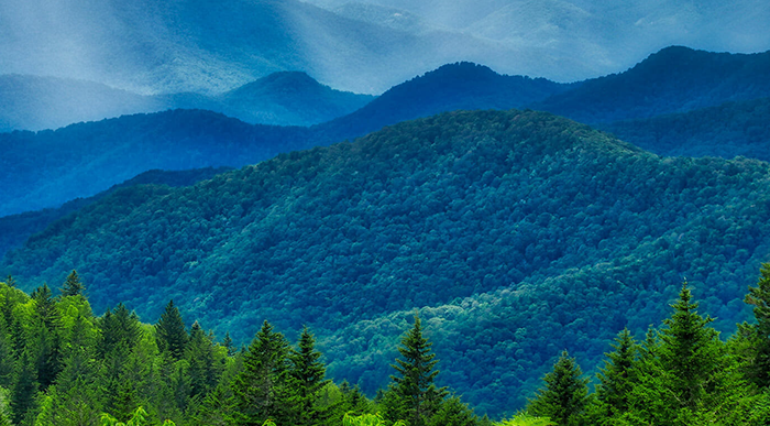 Conservation Easement